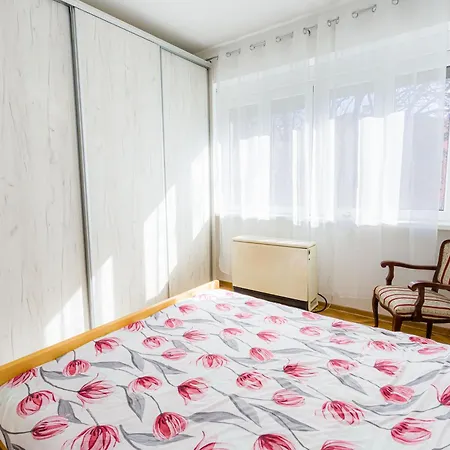 アパート Pionir Star *